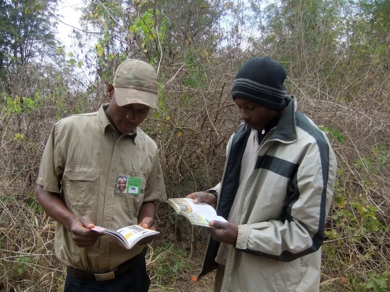 HEAL rangers reading books